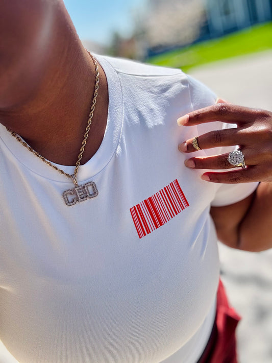 Scorpio VS Errybody-Women’s Premium Crop Top